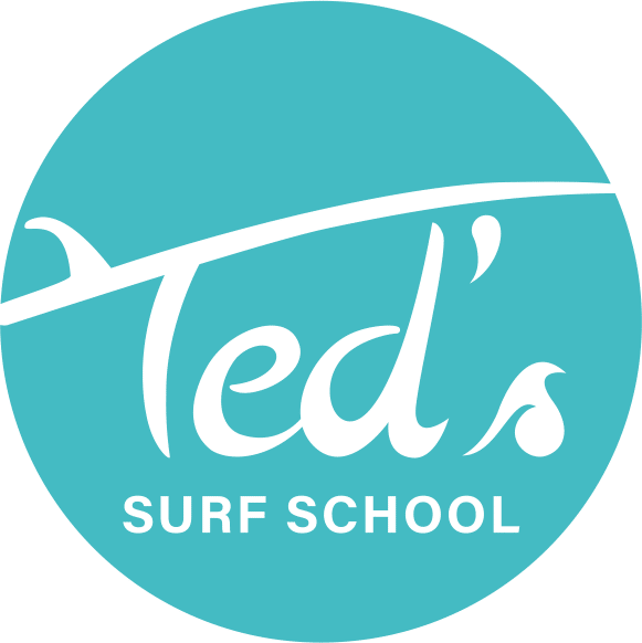 Logo Ted Surf School